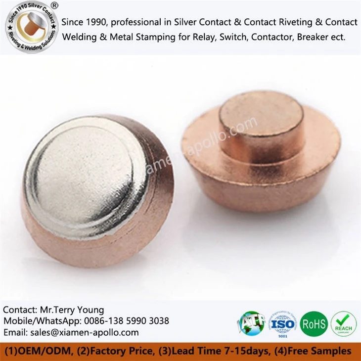 Allotype Silver Contact Rivet Allotype Silver Contact Rivet