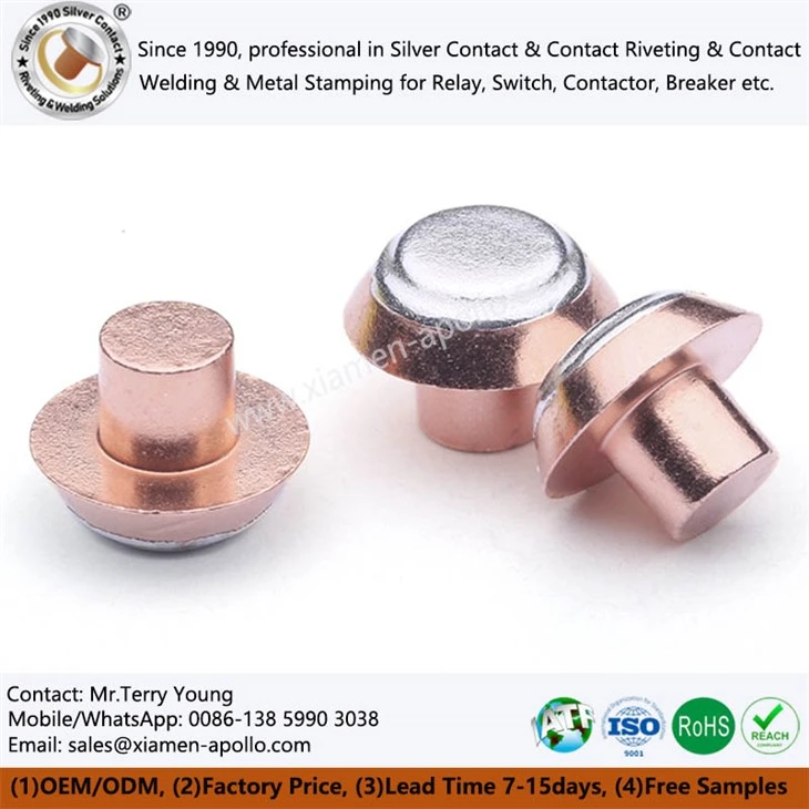 Contact argenté du relais de verrouillage magnétique avec le capuchon des étapes