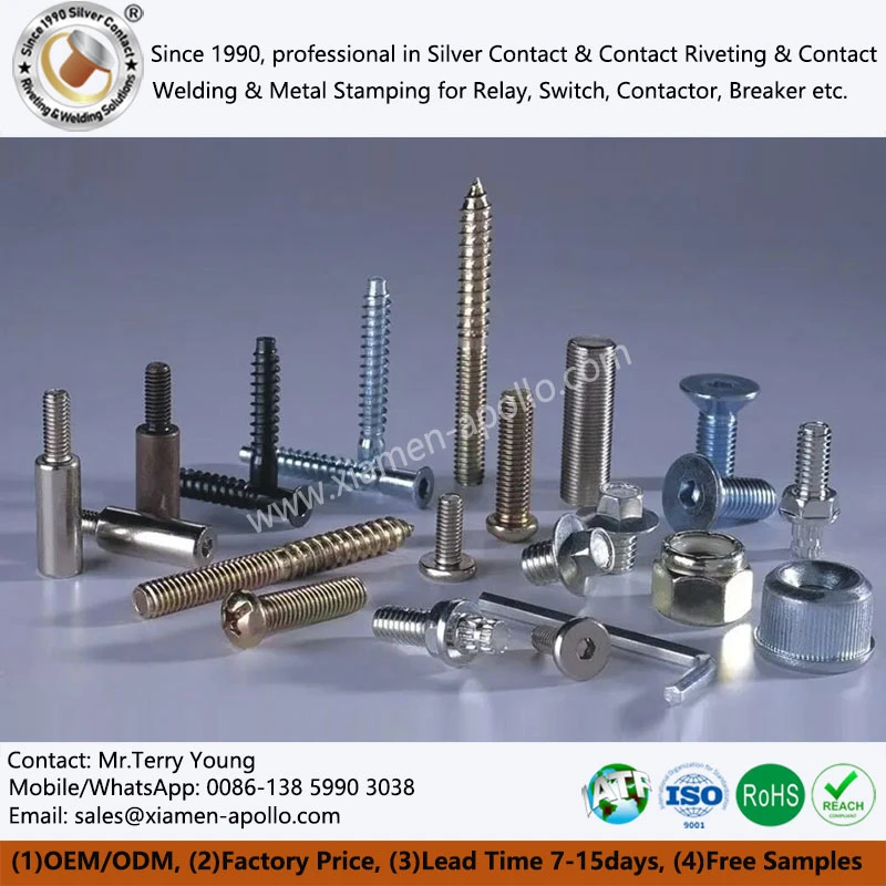 Customized Steel Screw Customized Steel Screw